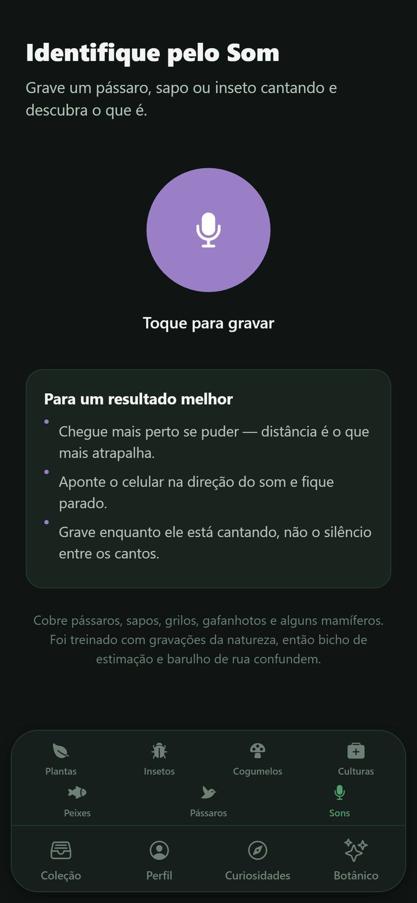 NatureLens — identificar por som